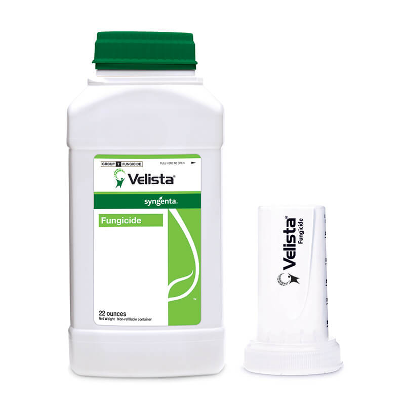 Syngenta fungicides top