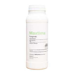 BASF - Maxtima® Fungicide - 26 OZ BTL