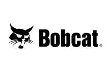 Bobcat