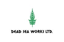 Dead Sea Works