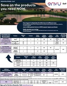 Now Solutions - Golf