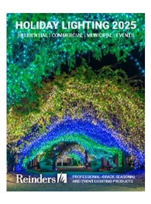 LED Seasonal Lighting