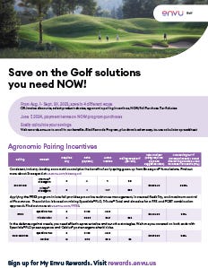 Now Solutions - Golf