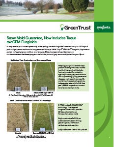 Syngenta Snow Mold