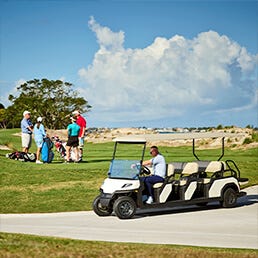 Toro Workman GTX